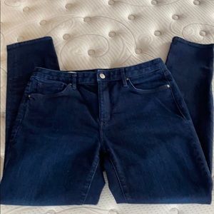 GAP 1969 High Rise Skinny sz 31